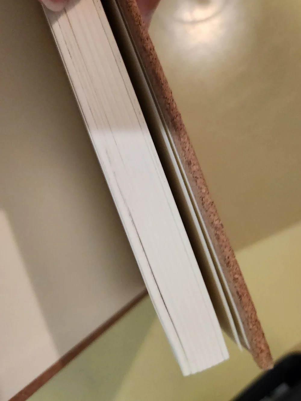 Cork Notebook - Natural Brown Cover